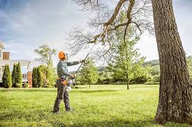 Best Lawn Mowing  in Galesburg, IL